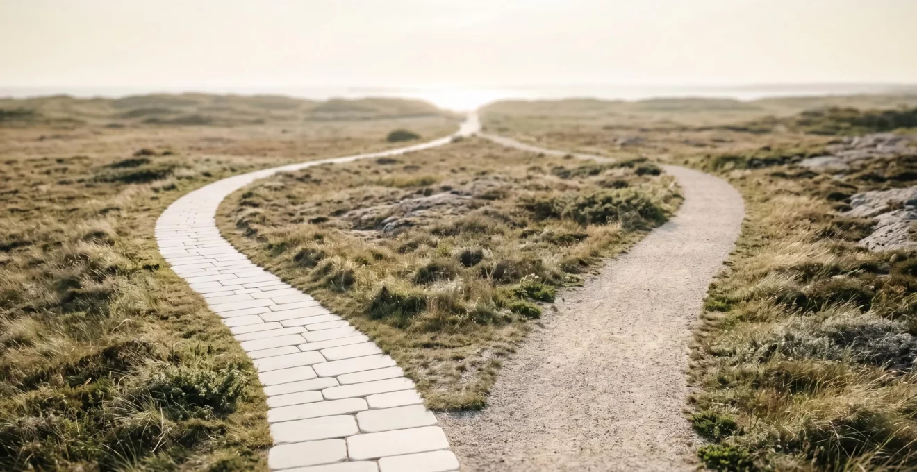 Vue aérienne de deux chemins divergents dans un paysage minimaliste : un chemin de pierres blanches et un sentier de gravier clair convergeant vers un horizon lumineux commun